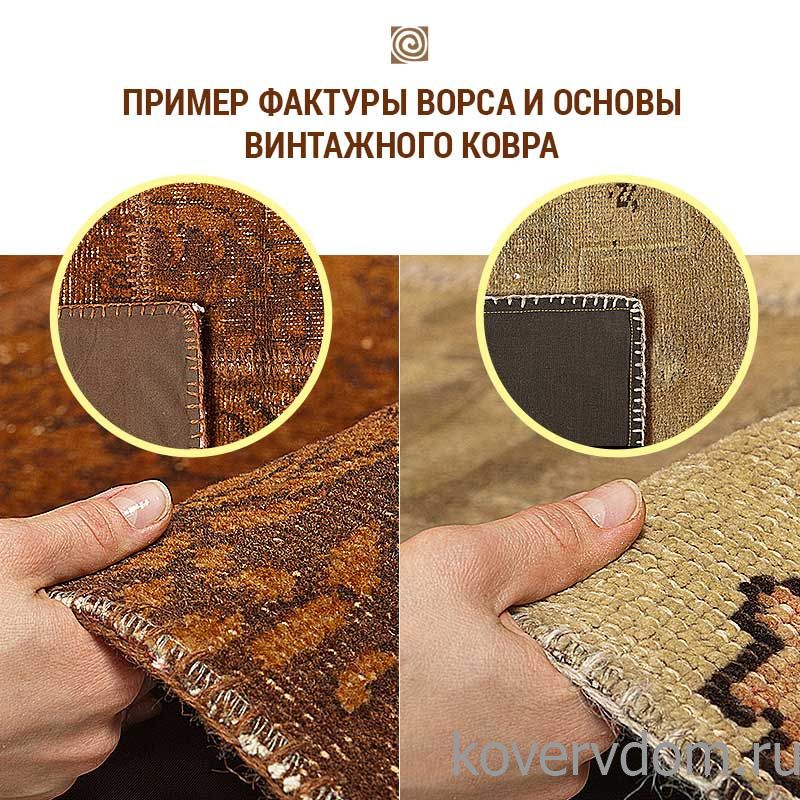 Tect packet 1 Tect packet 1