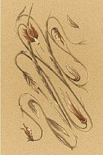 Ковер OPAL DANAE sahara