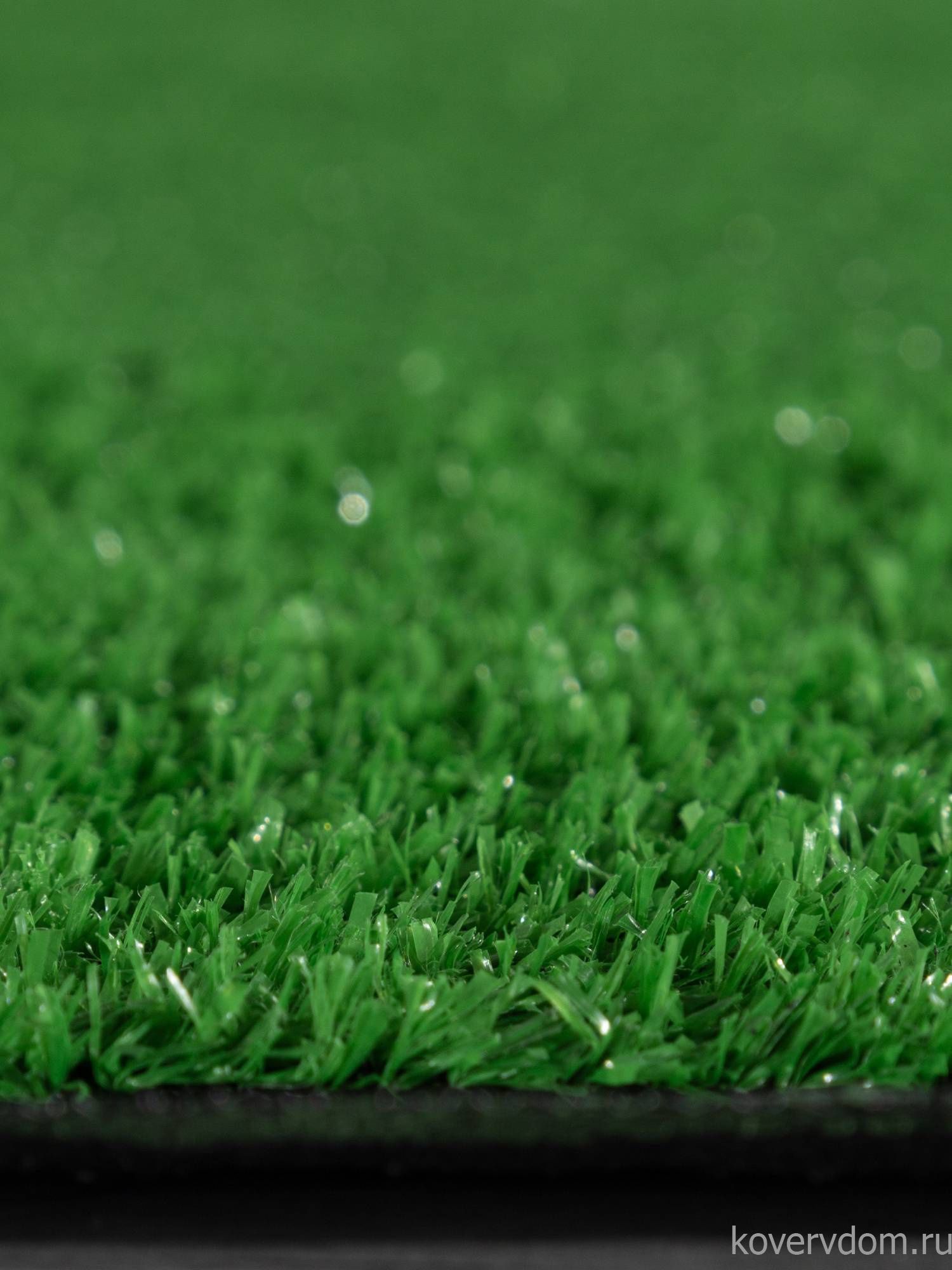 Ковровая Дорожка с искусственной травой GRASS G001 000 Ковровая Дорожка с искусственной травой GRASS G001 000